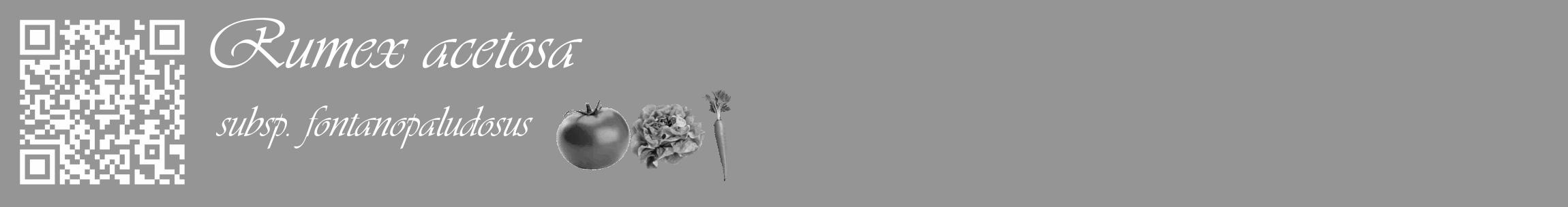Étiquette de : Rumex acetosa subsp. fontanopaludosus - format c - style blanche16_basique_basiqueviv avec qrcode et comestibilité simplifiée