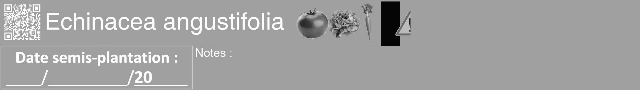 Étiquette de : Echinacea angustifolia - format a - style blanche24hel avec qrcode et comestibilité simplifiée