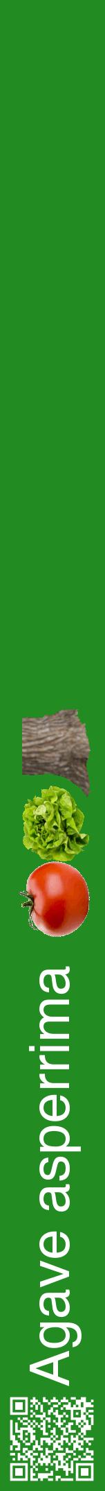 Étiquette de : Agave asperrima - format a - style blanche10hel avec qrcode et comestibilité simplifiée