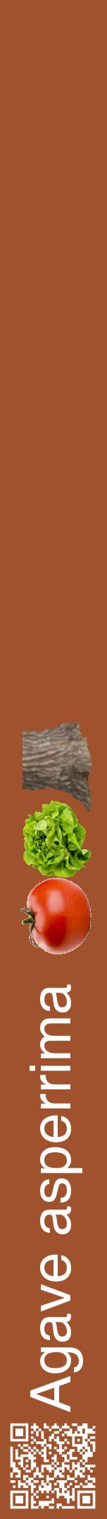 Étiquette de : Agave asperrima - format a - style blanche32hel avec qrcode et comestibilité simplifiée