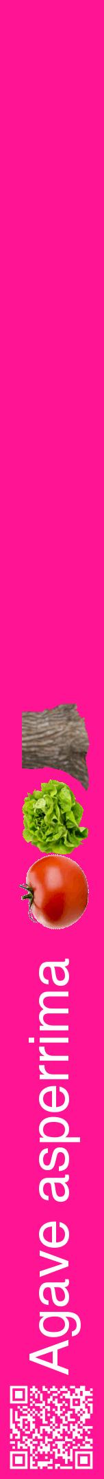 Étiquette de : Agave asperrima - format a - style blanche43hel avec qrcode et comestibilité simplifiée