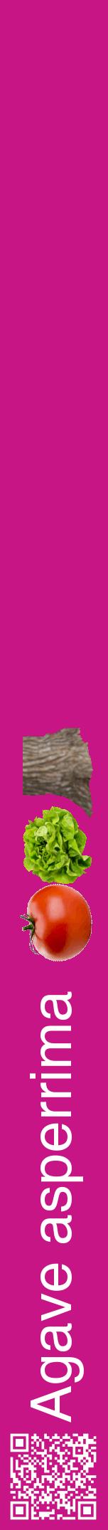 Étiquette de : Agave asperrima - format a - style blanche45hel avec qrcode et comestibilité simplifiée