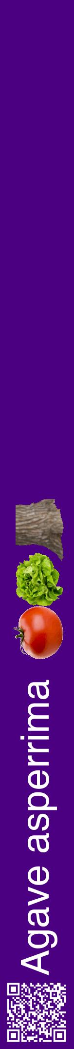 Étiquette de : Agave asperrima - format a - style blanche47hel avec qrcode et comestibilité simplifiée