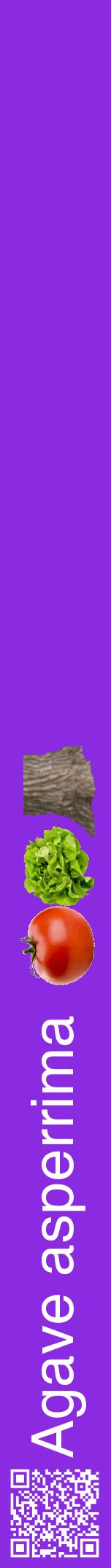Étiquette de : Agave asperrima - format a - style blanche49hel avec qrcode et comestibilité simplifiée