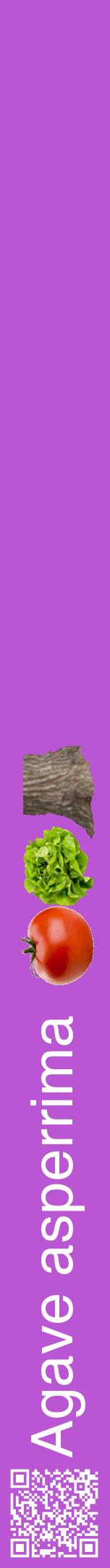 Étiquette de : Agave asperrima - format a - style blanche50hel avec qrcode et comestibilité simplifiée
