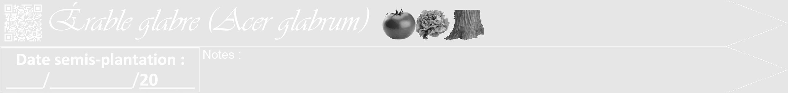 Étiquette de : Acer glabrum - format b - style blanche18viv avec qrcode et comestibilité simplifiée