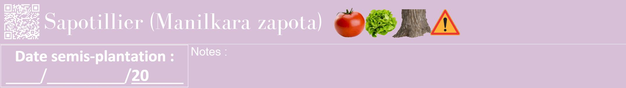 Étiquette de : Manilkara zapota - format a - style blanche54bod avec qrcode et comestibilité simplifiée