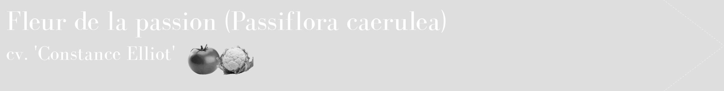 Étiquette de : Passiflora caerulea cv. 'Constance Elliot' - format c - style blanche20_simple_simplebod avec comestibilité simplifiée