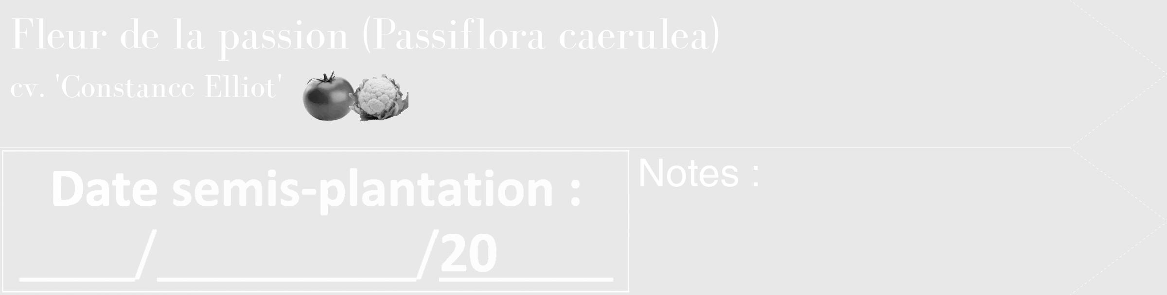 Étiquette de : Passiflora caerulea cv. 'Constance Elliot' - format c - style blanche55_simple_simplebod avec comestibilité simplifiée