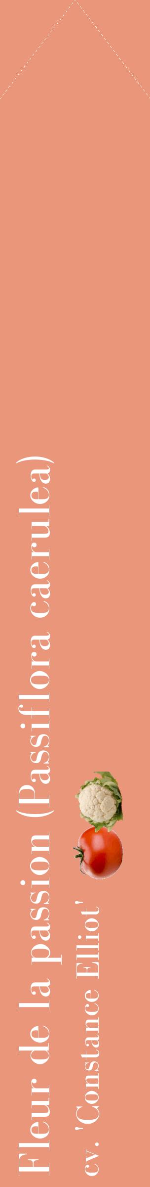 Étiquette de : Passiflora caerulea cv. 'Constance Elliot' - format c - style blanche37_simplebod avec comestibilité simplifiée
