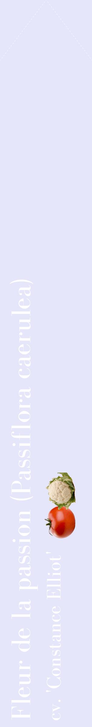 Étiquette de : Passiflora caerulea cv. 'Constance Elliot' - format c - style blanche55_simplebod avec comestibilité simplifiée