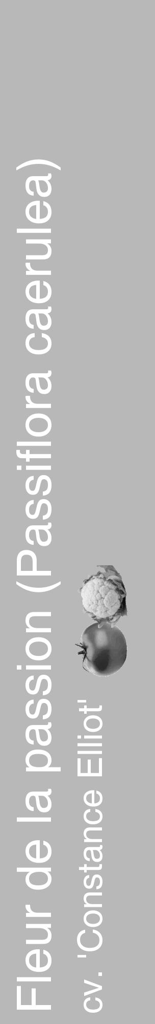 Étiquette de : Passiflora caerulea cv. 'Constance Elliot' - format c - style blanche39_basique_basiquehel avec comestibilité simplifiée - position verticale