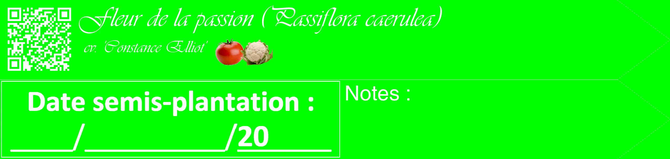 Étiquette de : Passiflora caerulea cv. 'Constance Elliot' - format c - style blanche16_simple_simpleviv avec qrcode et comestibilité simplifiée