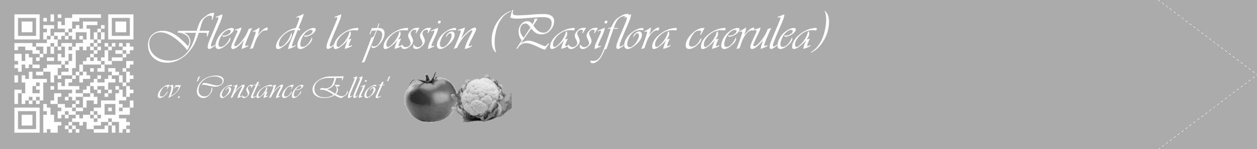 Étiquette de : Passiflora caerulea cv. 'Constance Elliot' - format c - style blanche37_simple_simpleviv avec qrcode et comestibilité simplifiée
