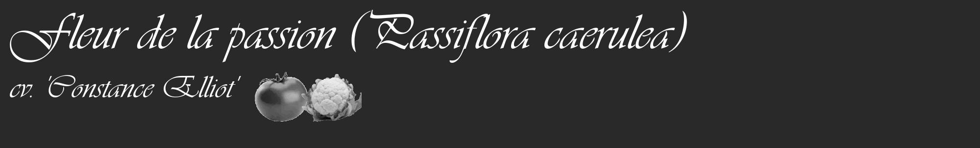 Étiquette de : Passiflora caerulea cv. 'Constance Elliot' - format c - style blanche34_basique_basiqueviv avec comestibilité simplifiée