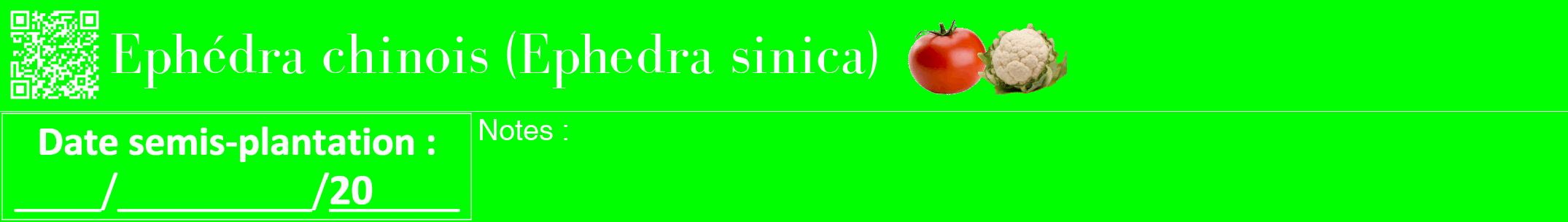 Étiquette de : Ephedra sinica - format a - style blanche16bod avec qrcode et comestibilité simplifiée
