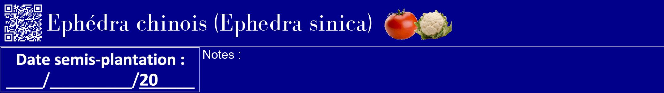 Étiquette de : Ephedra sinica - format a - style blanche7bod avec qrcode et comestibilité simplifiée
