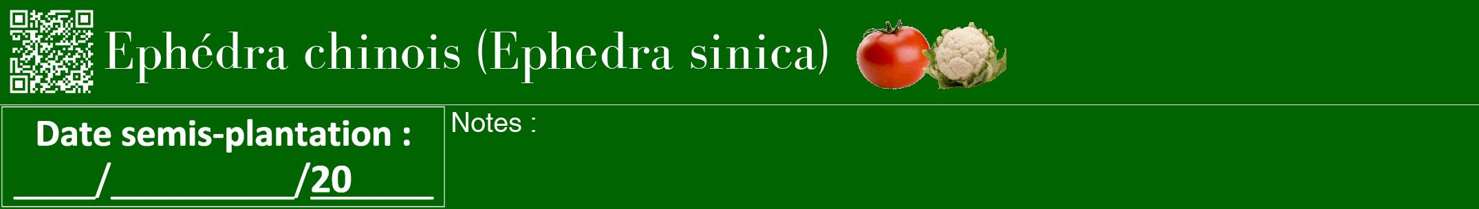 Étiquette de : Ephedra sinica - format a - style blanche8bod avec qrcode et comestibilité simplifiée