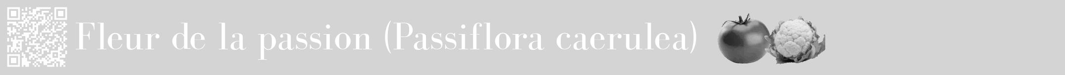 Étiquette de : Passiflora caerulea - format a - style blanche40bod avec qrcode et comestibilité simplifiée