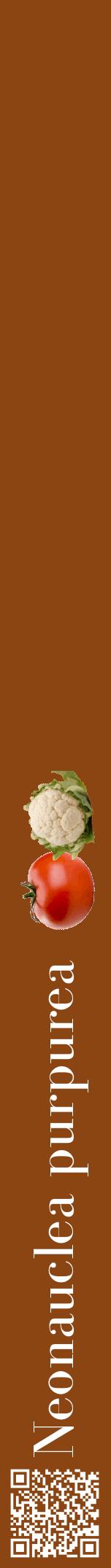 Étiquette de : Neonauclea purpurea - format a - style blanche30bod avec qrcode et comestibilité simplifiée