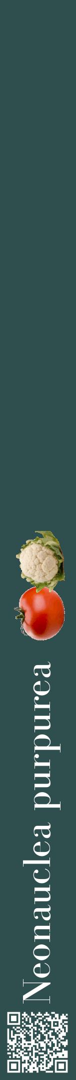 Étiquette de : Neonauclea purpurea - format a - style blanche58bod avec qrcode et comestibilité simplifiée