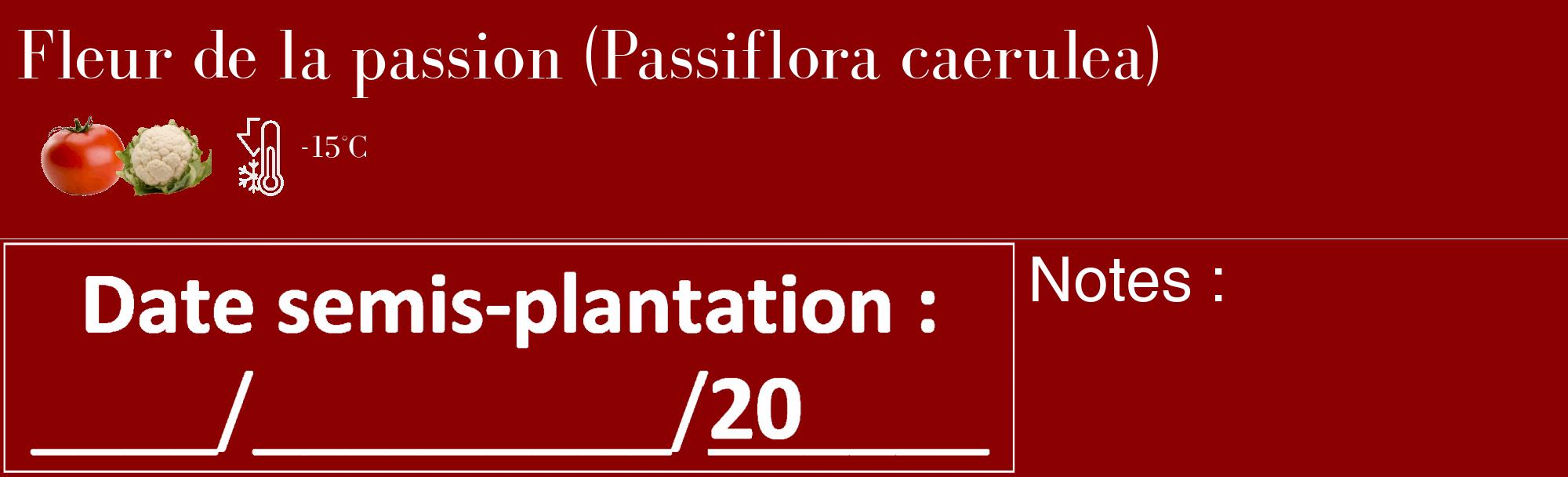 Étiquette de : Passiflora caerulea - format c - style blanche34_basique_basiquebod avec comestibilité simplifiée