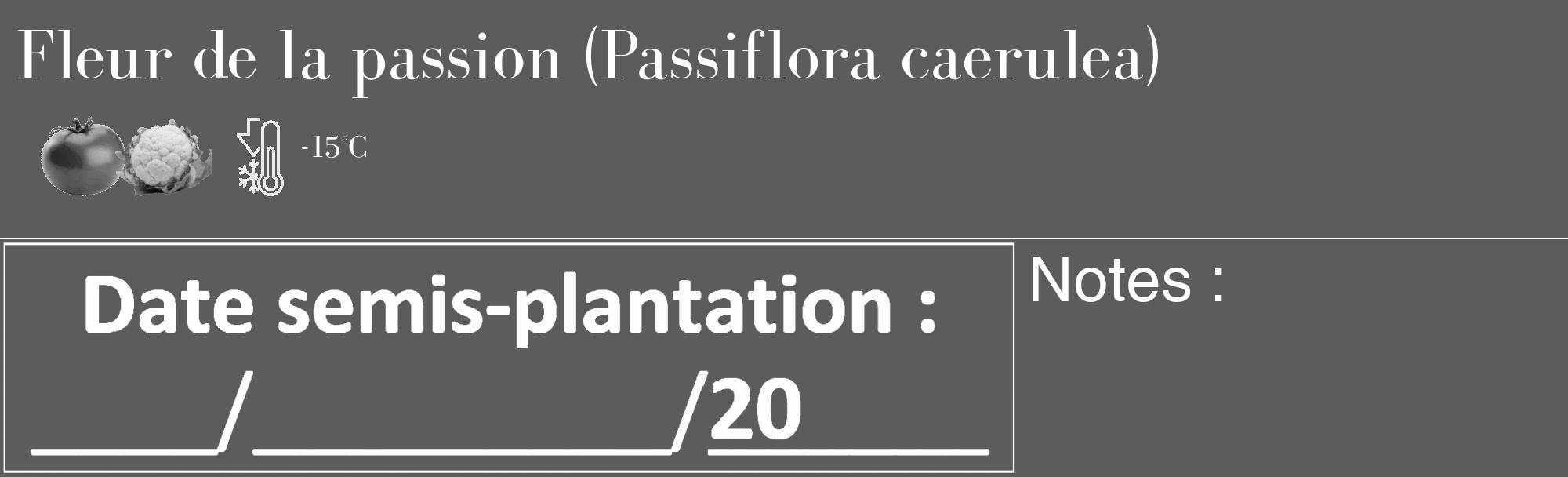 Étiquette de : Passiflora caerulea - format c - style blanche49_basique_basiquebod avec comestibilité simplifiée