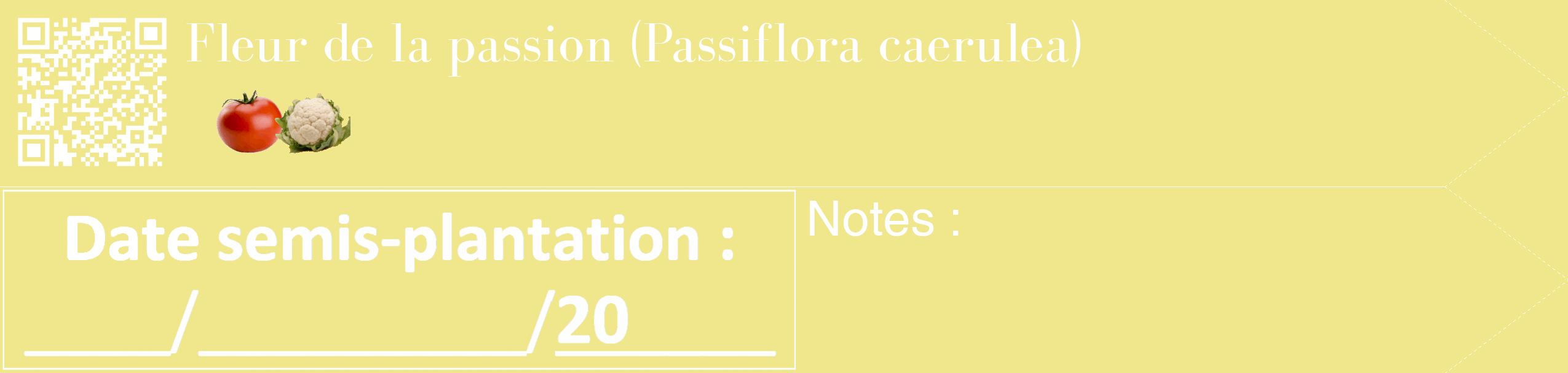 Étiquette de : Passiflora caerulea - format c - style blanche20_simple_simplebod avec qrcode et comestibilité simplifiée