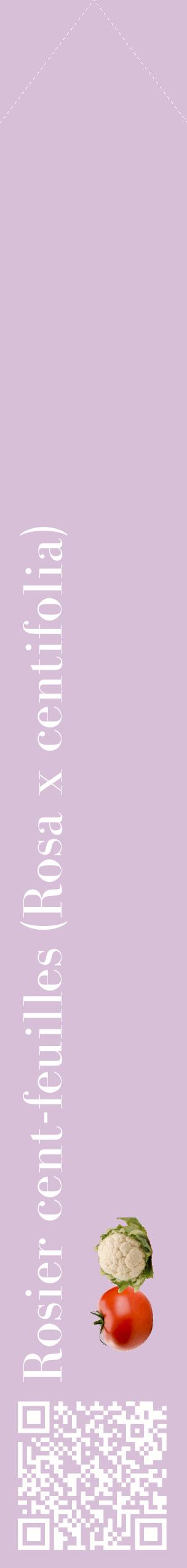 Étiquette de : Rosa x centifolia - format c - style blanche54_simplebod avec qrcode et comestibilité simplifiée
