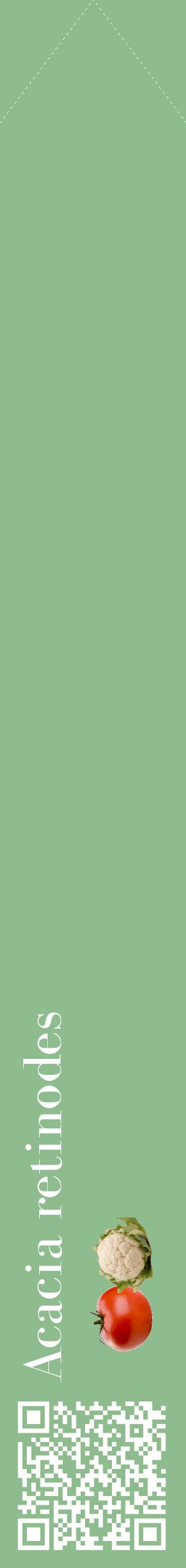 Étiquette de : Acacia retinodes - format c - style blanche13_simplebod avec qrcode et comestibilité simplifiée