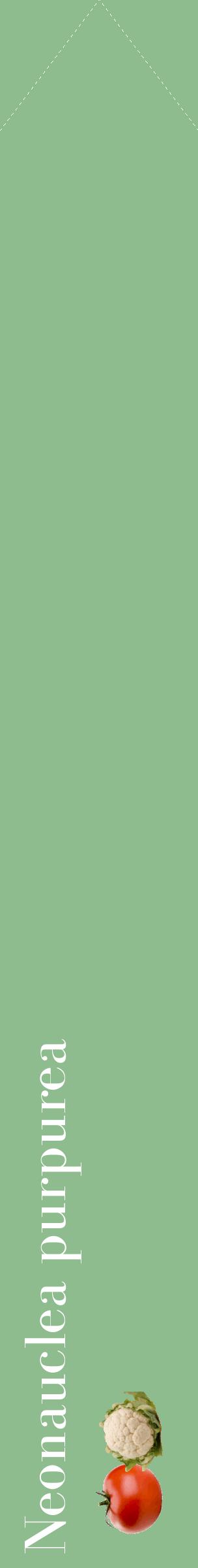 Étiquette de : Neonauclea purpurea - format c - style blanche13_simplebod avec comestibilité simplifiée