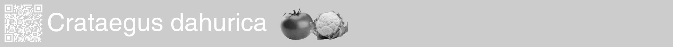 Étiquette de : Crataegus dahurica - format a - style blanche0hel avec qrcode et comestibilité simplifiée