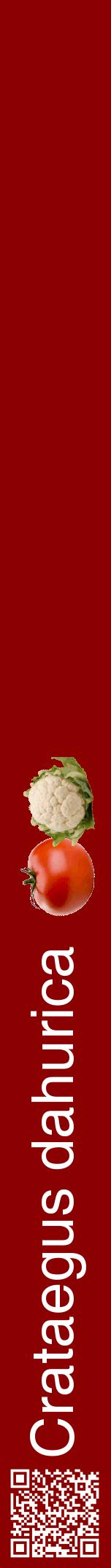 Étiquette de : Crataegus dahurica - format a - style blanche34hel avec qrcode et comestibilité simplifiée