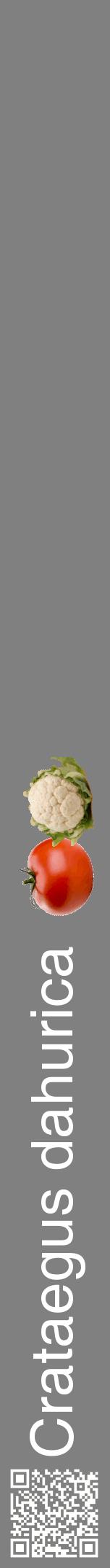 Étiquette de : Crataegus dahurica - format a - style blanche57hel avec qrcode et comestibilité simplifiée