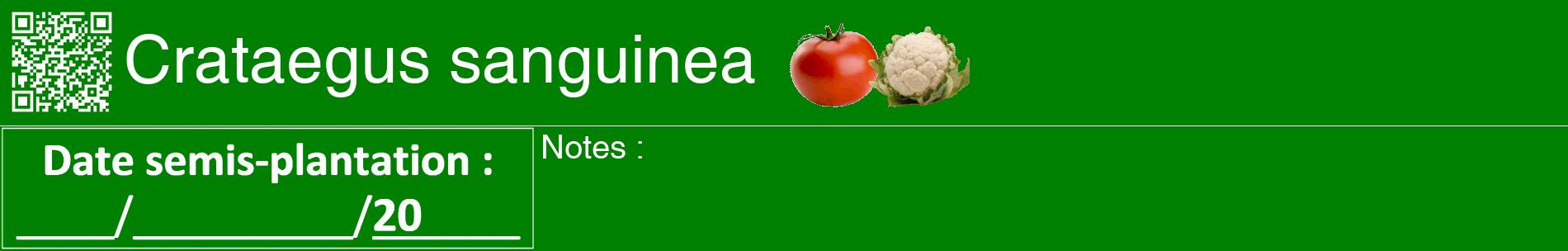 Étiquette de : Crataegus sanguinea - format a - style blanche9basiquehel avec qrcode et comestibilité simplifiée