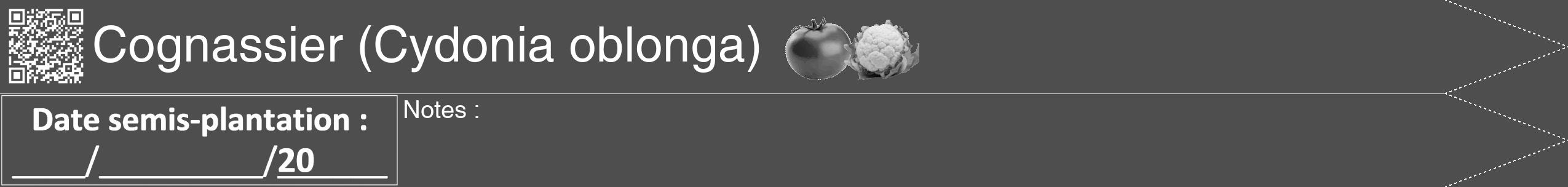 Étiquette de : Cydonia oblonga - format b - style blanche33simplehel avec qrcode et comestibilité simplifiée