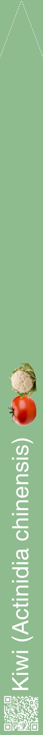 Étiquette de : Actinidia chinensis - format b - style blanche13hel avec qrcode et comestibilité simplifiée