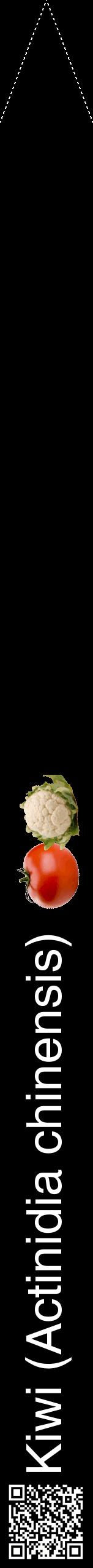 Étiquette de : Actinidia chinensis - format b - style blanche59hel avec qrcode et comestibilité simplifiée