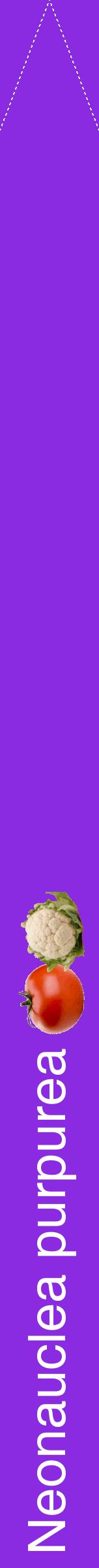 Étiquette de : Neonauclea purpurea - format b - style blanche49hel avec comestibilité simplifiée