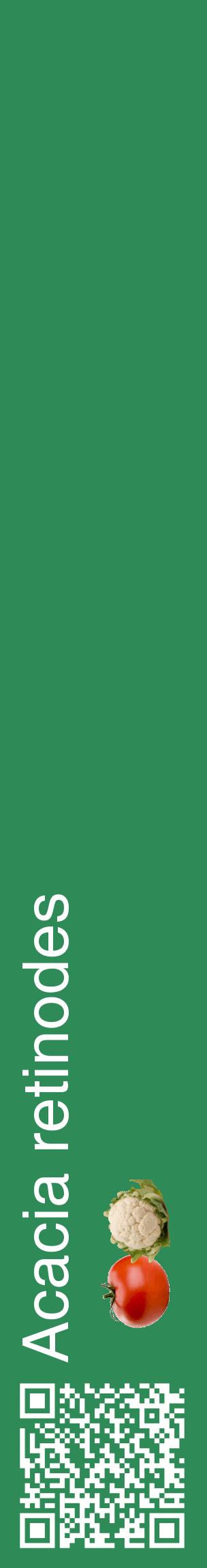 Étiquette de : Acacia retinodes - format c - style blanche11_basiquehel avec qrcode et comestibilité simplifiée