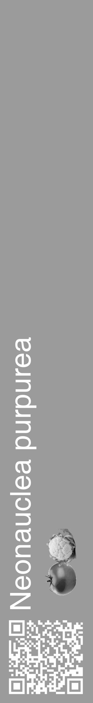 Étiquette de : Neonauclea purpurea - format c - style blanche52_basique_basiquehel avec qrcode et comestibilité simplifiée - position verticale
