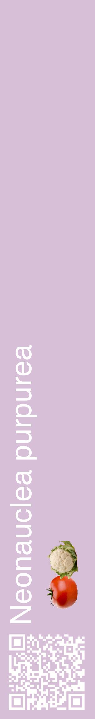 Étiquette de : Neonauclea purpurea - format c - style blanche54_basiquehel avec qrcode et comestibilité simplifiée