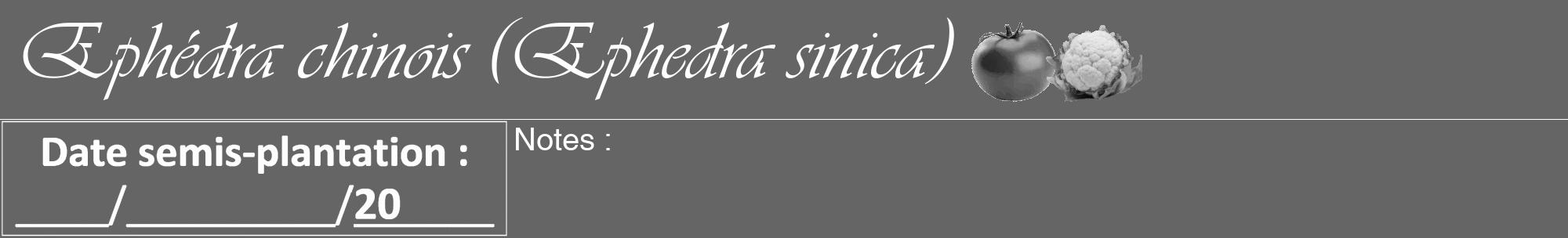 Étiquette de : Ephedra sinica - format a - style blanche32viv avec comestibilité simplifiée
