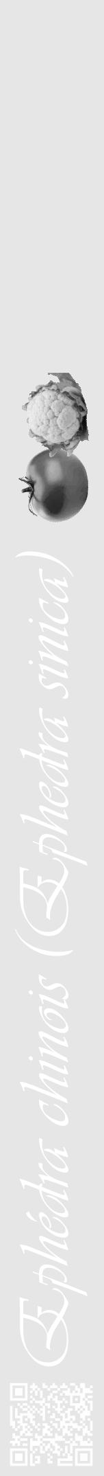 Étiquette de : Ephedra sinica - format a - style blanche18viv avec qrcode et comestibilité simplifiée - position verticale