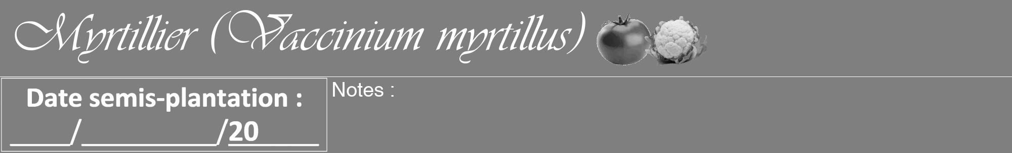 Étiquette de : Vaccinium myrtillus - format a - style blanche31viv avec comestibilité simplifiée