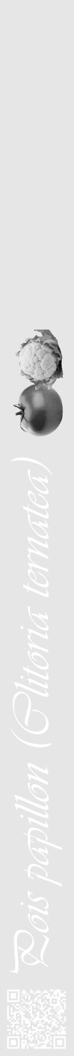 Étiquette de : Clitoria ternatea - format a - style blanche18viv avec qrcode et comestibilité simplifiée - position verticale
