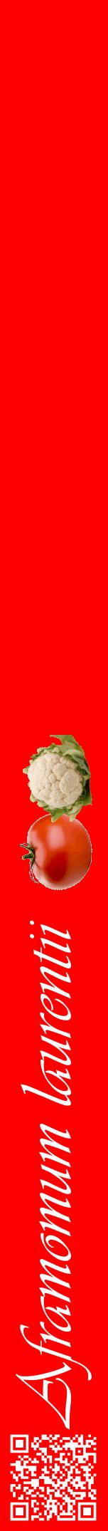 Étiquette de : Aframomum laurentii - format a - style blanche27viv avec qrcode et comestibilité simplifiée
