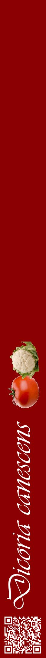 Étiquette de : Dicoria canescens - format a - style blanche34viv avec qrcode et comestibilité simplifiée
