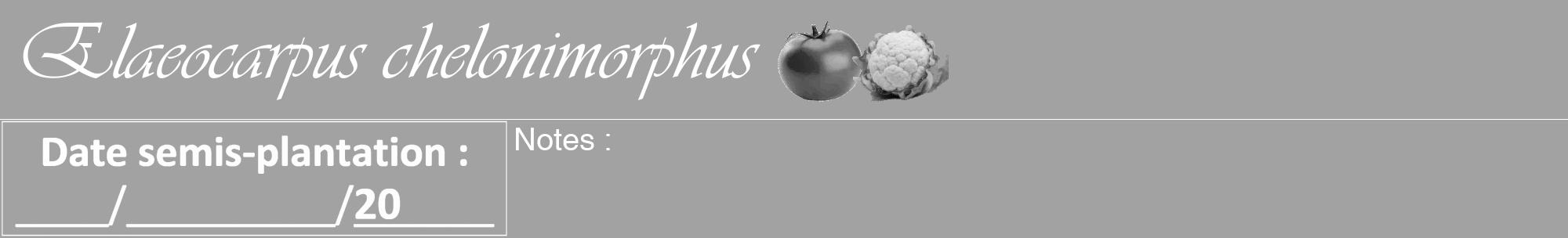 Étiquette de : Elaeocarpus chelonimorphus - format a - style blanche38viv avec comestibilité simplifiée