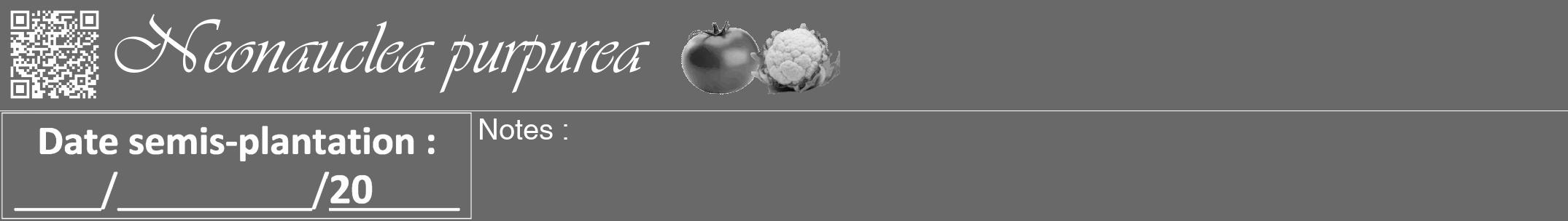 Étiquette de : Neonauclea purpurea - format a - style blanche11viv avec qrcode et comestibilité simplifiée